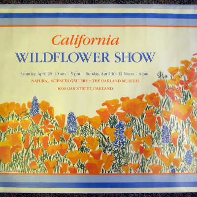 California Wild Flower Show Poster