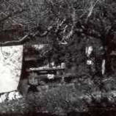 Campsite