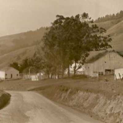 White Gate Ranch