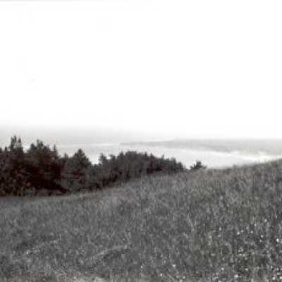 Trail with Ocean View