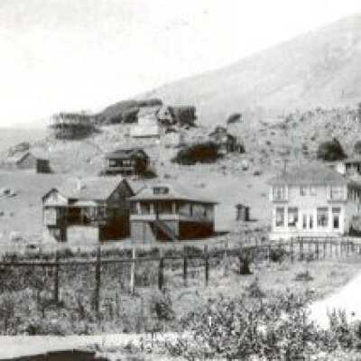 Willow Camp