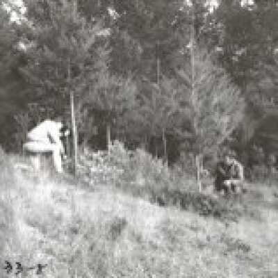 Christmas Tree Ranch