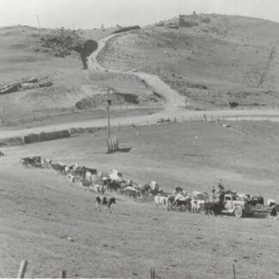 White Gate Ranch