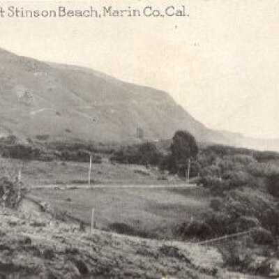 The Willows at Stinson Beach