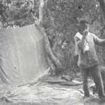 Man at Campsite
