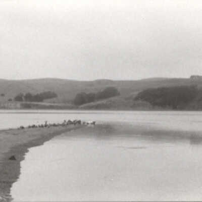 The Hills Across the Lagoon