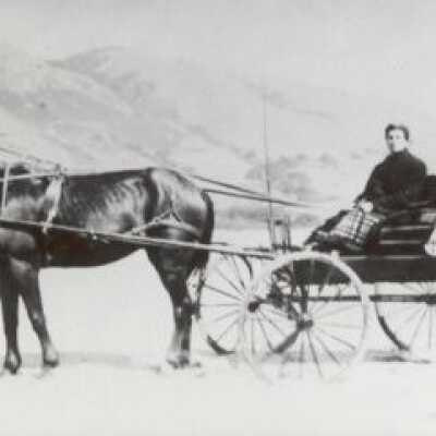 Hors Buggy on the Beach