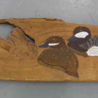 Pair of Ruddy Duck