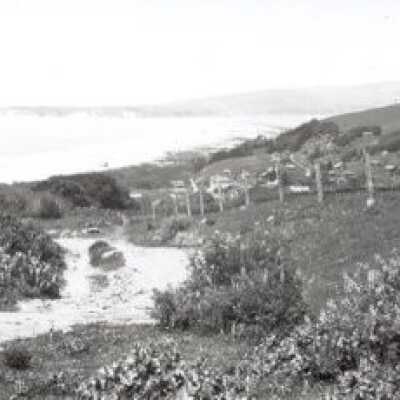 Further Down Trail
