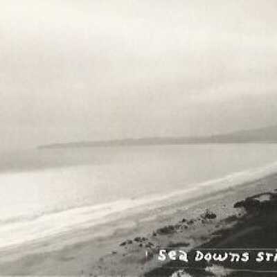 Sea Downs Stinson Beach, Calif