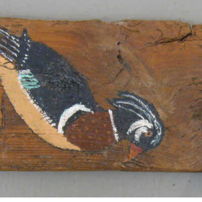Wood Duck