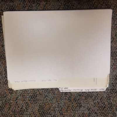 Allied Arts Minutes and Annual Report