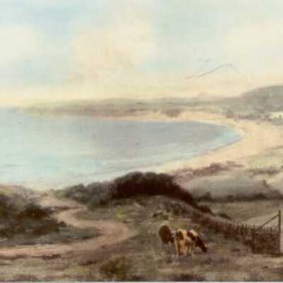 Road to Bolinas Bay