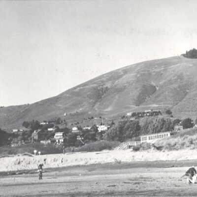 Sea Downs