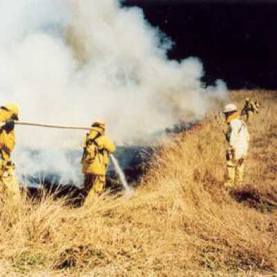 Controlled Burn at Bolinas 2