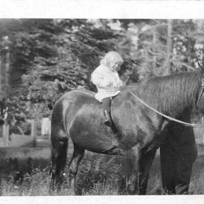 Postcard, Photographic