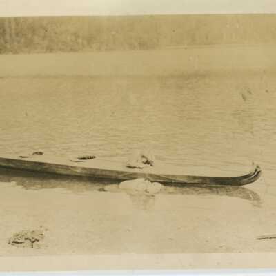 Print, Photographic