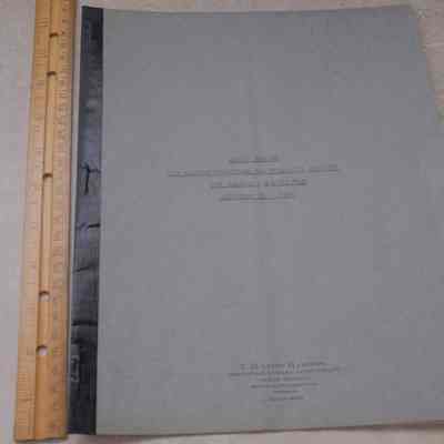 Audit Statement