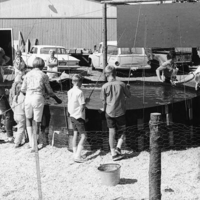 Island County Fair