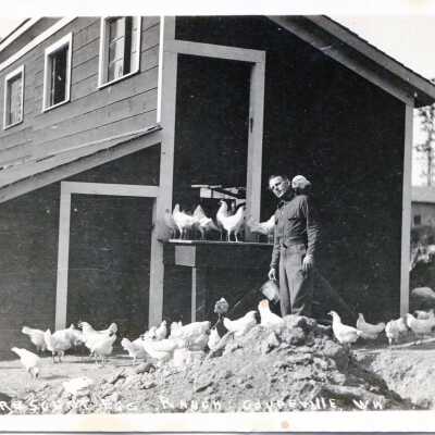 Postcard, Photographic, Photographic