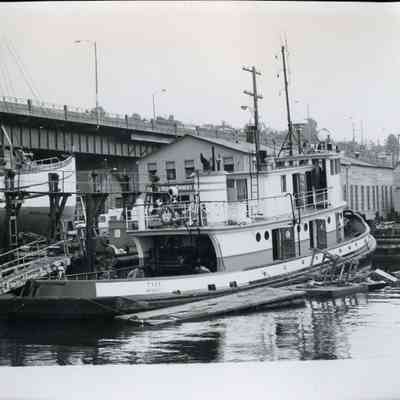 The "Tyee"