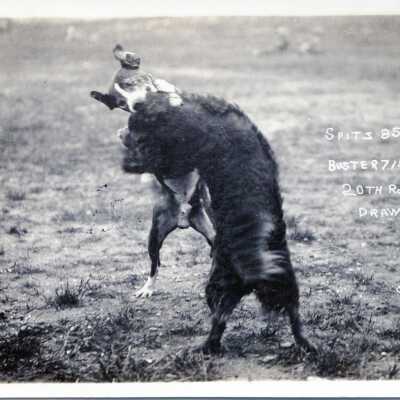 Postcard, Photographic, Photographic