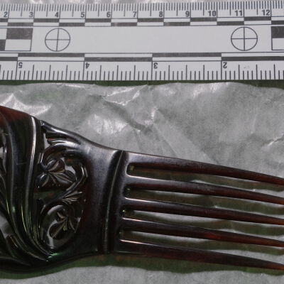 Ornament, Hair