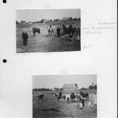 Photograph