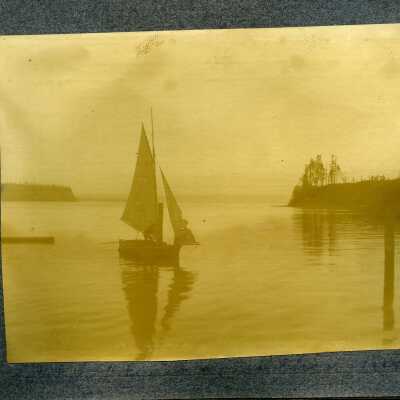 Photograph