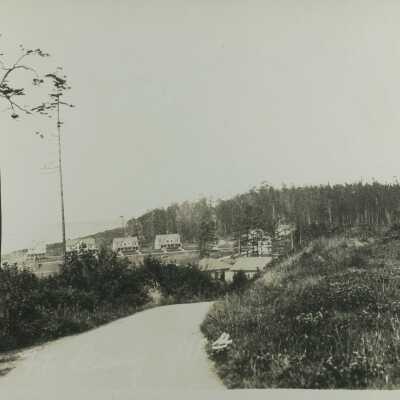 Postcard, Photographic