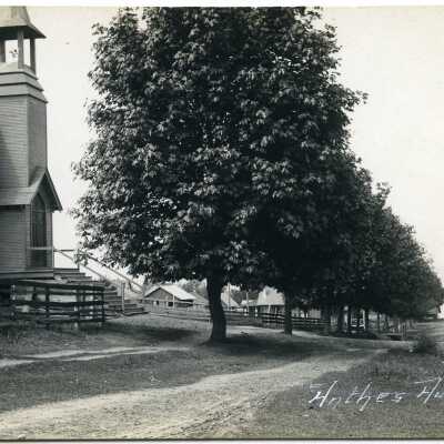 Postcard, Photographic