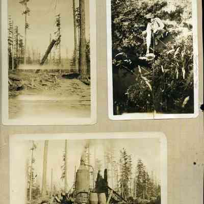 Logging and Variety Scenes