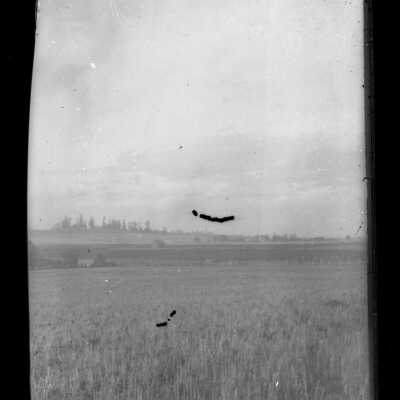Negative, Glass-plate