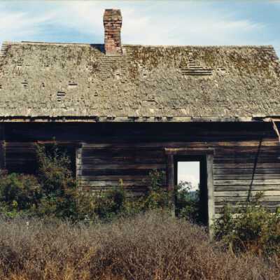 Photograph