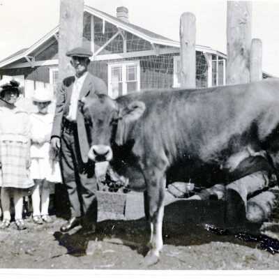 Postcard, Photographic, Photographic