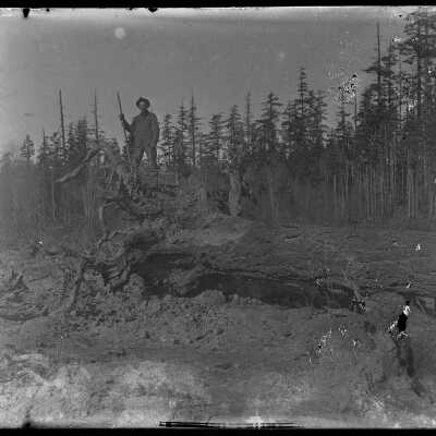 Glass Plate Negative