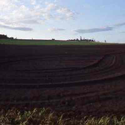 Tilled Soil on Ebey's Prairie