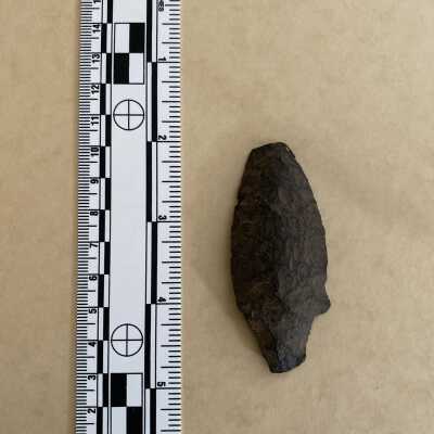 Projectile point