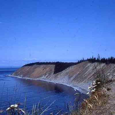 43. View along bluffs near Ebey's Landing. Scenic view, looking north: Ebey's Landing - ca. 1957