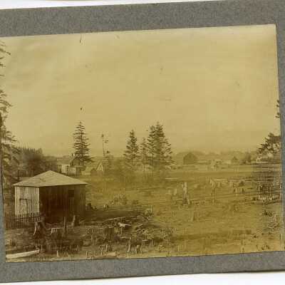 Photograph