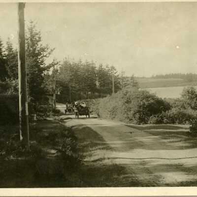 Photograph