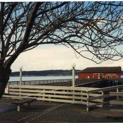 Photograph