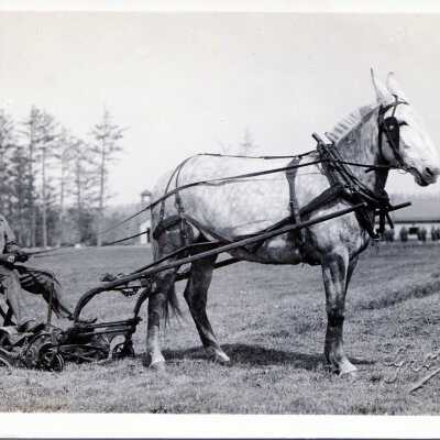 Postcard, Photographic, Photographic