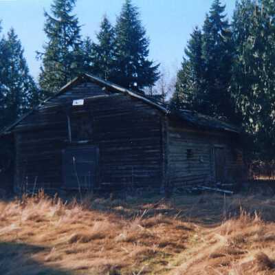 Photograph