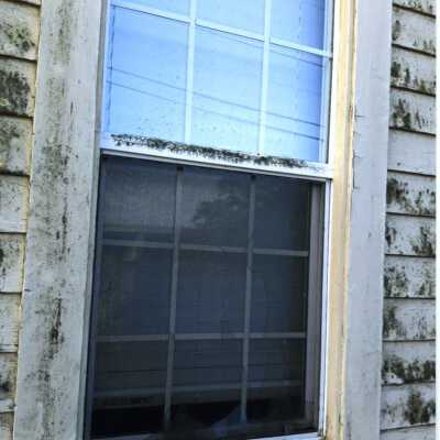 Libbey House Window