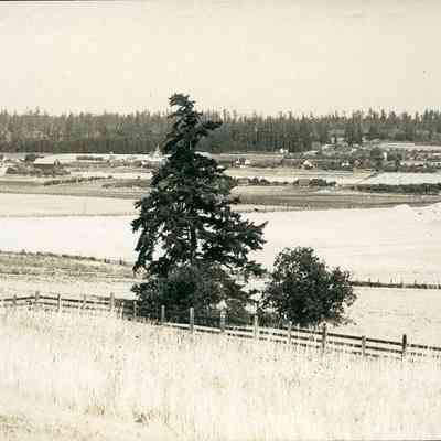 Ebey's Prairie, Looking Northeast
