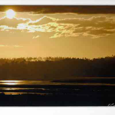Golden July Sunset