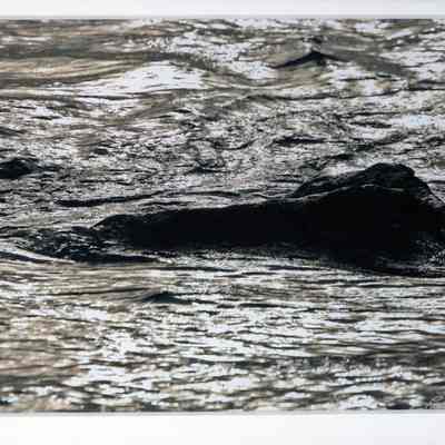 Submerged December Foundation