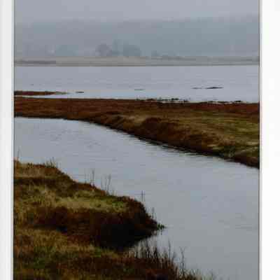 Subtle January Slough