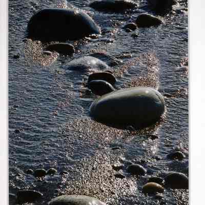 Tumbled May Denizens